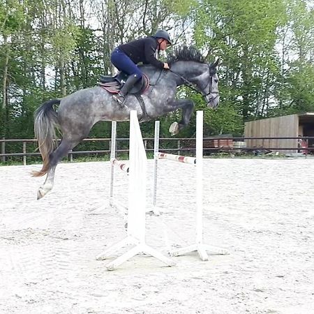 Gite Du Haras De Vales Moult Exterior photo